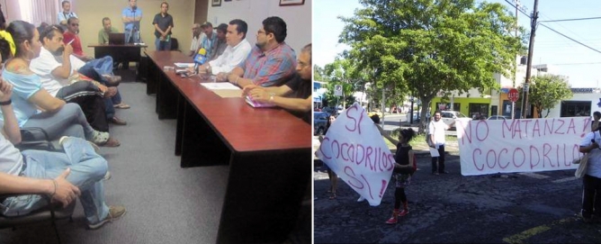 Protesta Bios Iguana contra ‘caza’ de cocodrilos