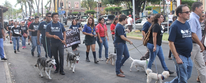 Marchan de Villa de Álvarez a Colima por los derechos de los animales