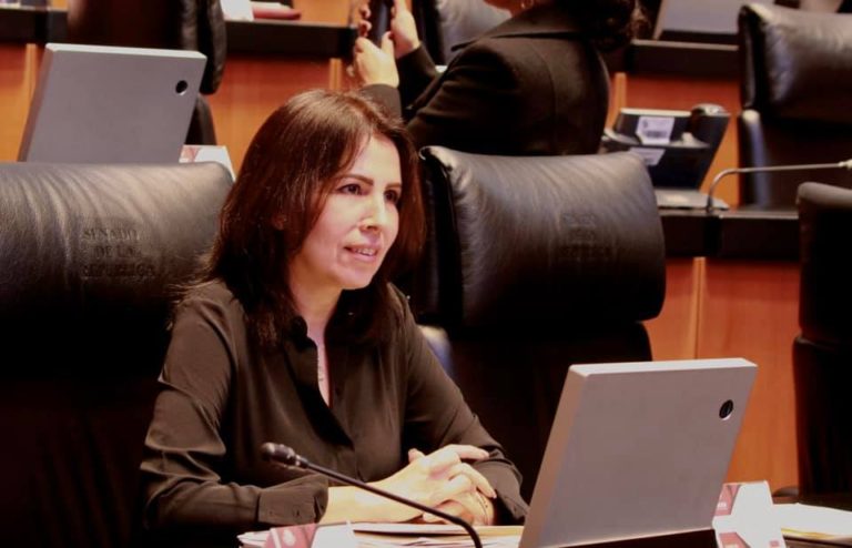Critica senadora sumisión de diputados a Nacho