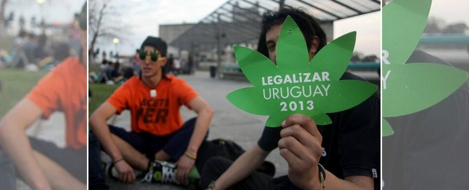 Legaliza Uruguay mariguana