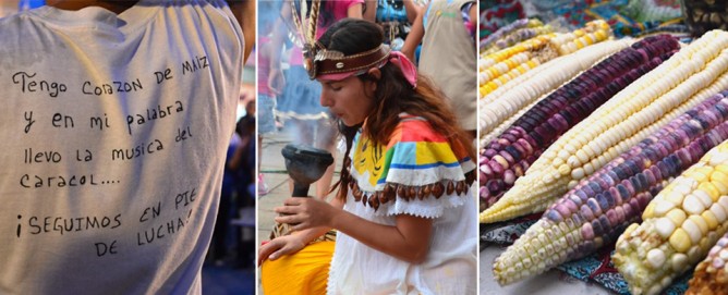 Celebró Colima el 3er Festival del Maíz Nativo